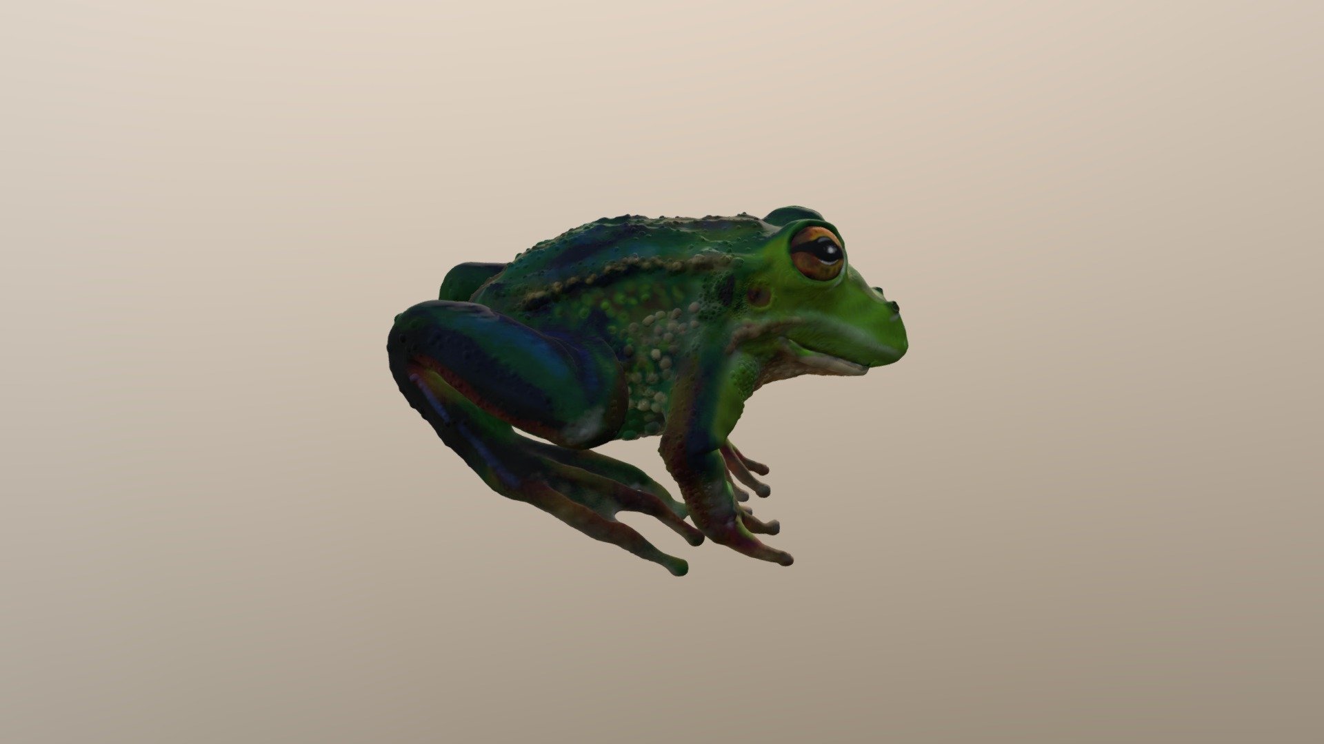 SculptrVR Frog