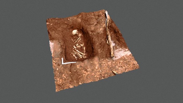 Crime Scene Science Practical: Mock Grave 2016 3D Model