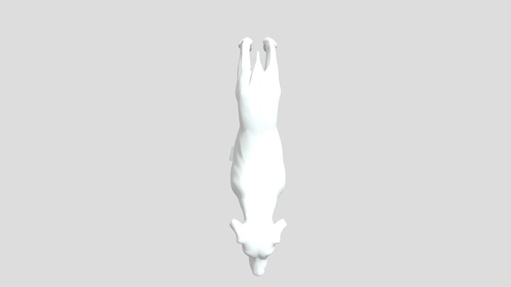 Prótesis Para Perrito V5 3D Model