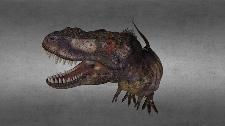 rex 3D Model
