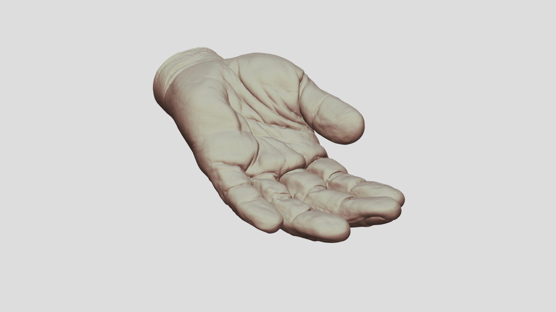 Hand Scan (Pro HD) - 3D model by B3D LABS (@B3DLabs) [940ff25] - Sketchfab