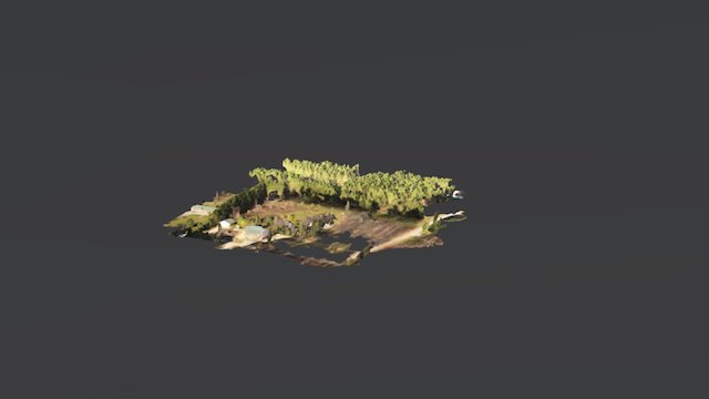 Home 3D Model