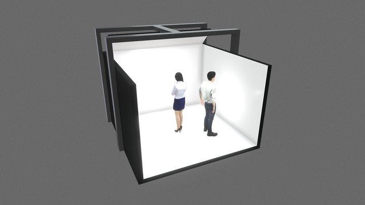Projection Direct 5em Face3 3D Model