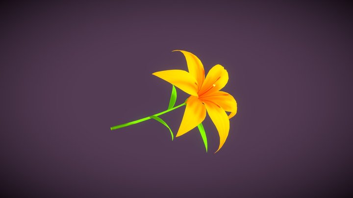 Lily 3D Model