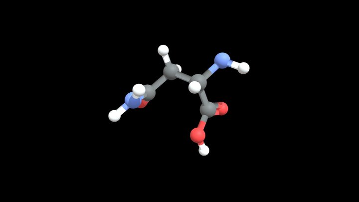 Asparagine