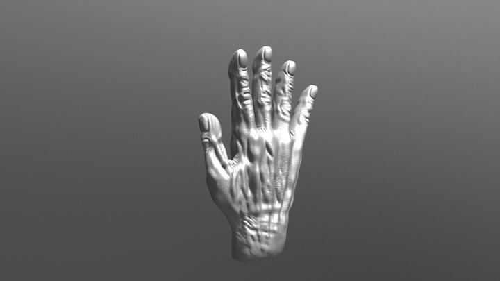 Old Hand Training 3D Model