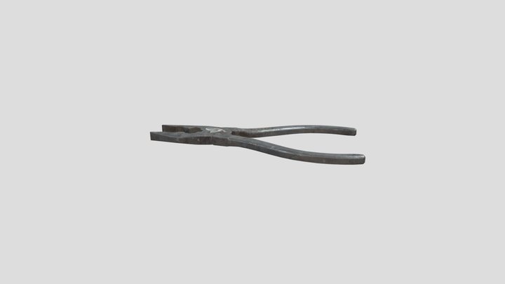 No_hole_pas 3D Model