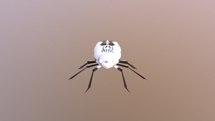Beetle 3D Model