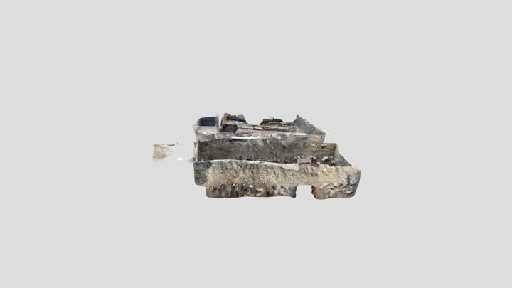 Untitled Scan 3D Model