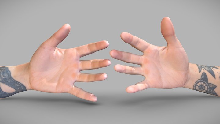 Hands 3D models - Sketchfab