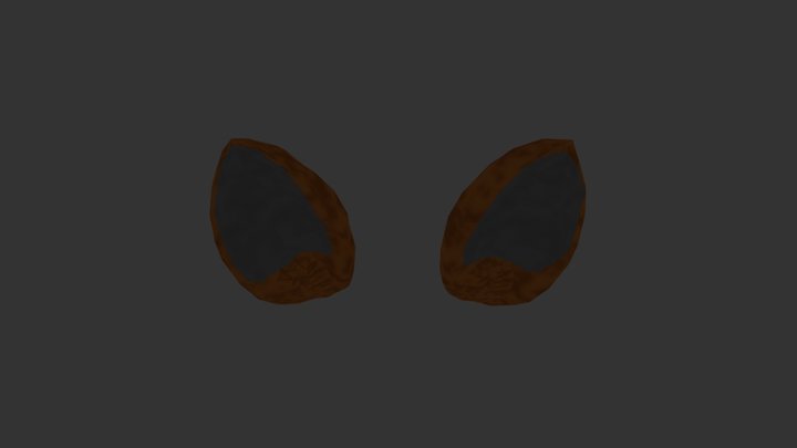 Ear 3D Model
