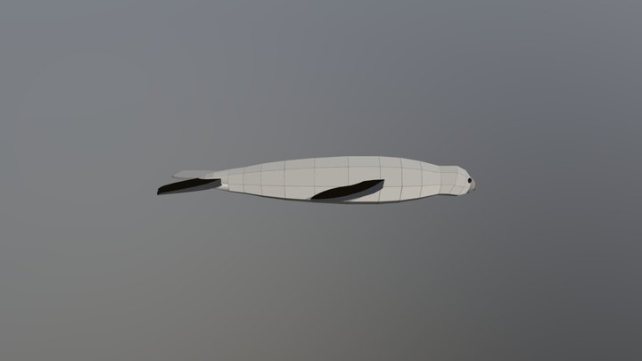 Monk Seal 3D Model