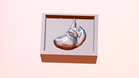 Left Heart Mold 3D Model