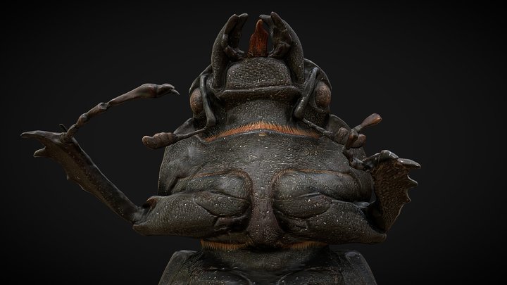 female stag beetle (Lucanus cervus) 3D Model