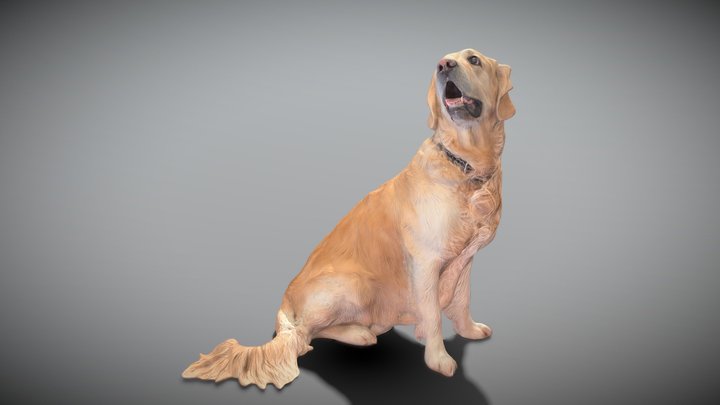 Adoptmepets 3D models - Sketchfab