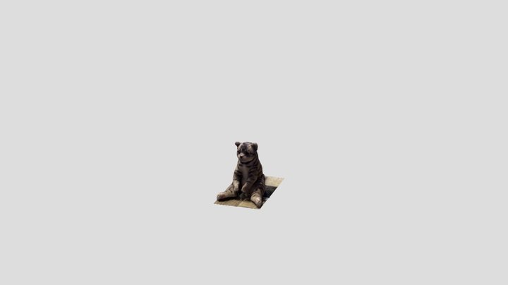 Sitting cat 3D Model