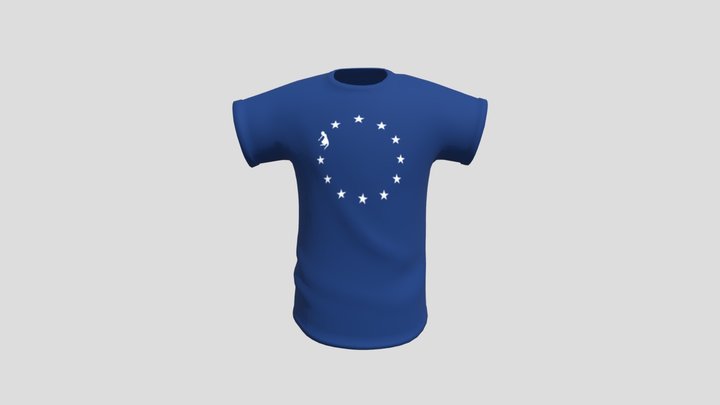FLAG T- Shirt Navy Blue
