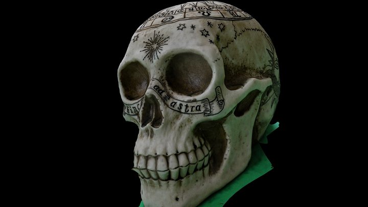 gothic skull 3D Model