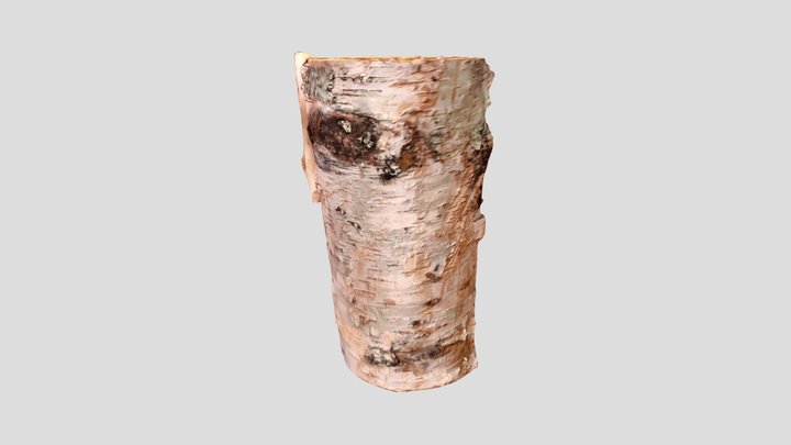 Log or wood 3D Model
