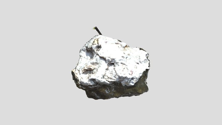 Rock1 3D Model