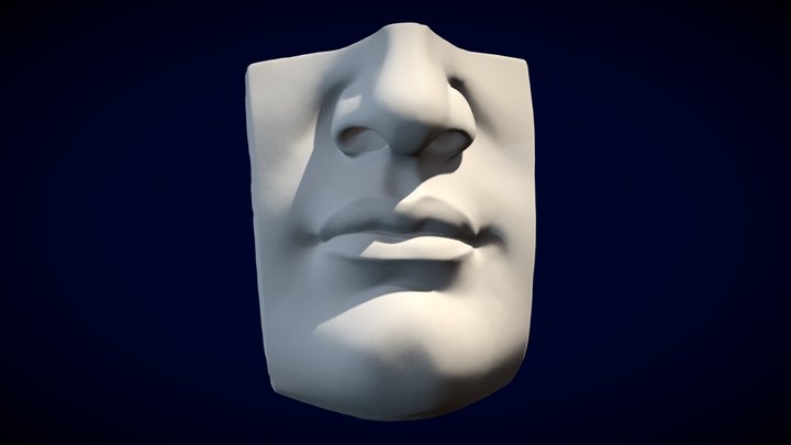Boca/nariz  Miguel Ángel Nose/Lips 3D Model