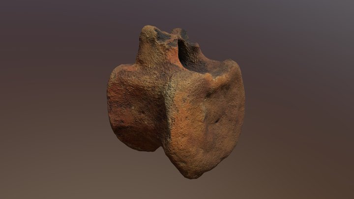 Hadrosaur Vertebrae - Wyoming mass death site 3D Model