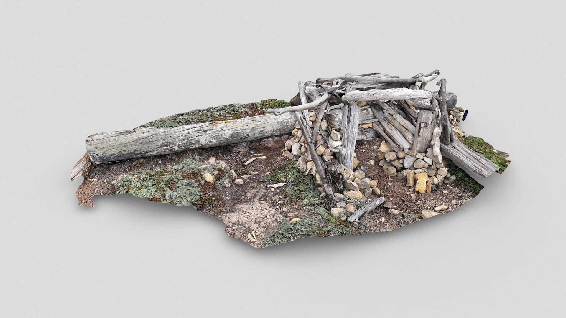Driftwood hut on Pescadero beach, CA