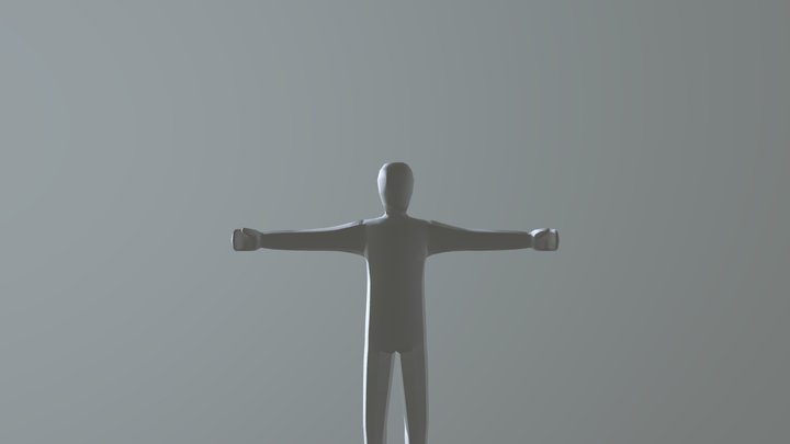 Human 3D Model