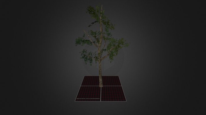 Tree_1 3D Model