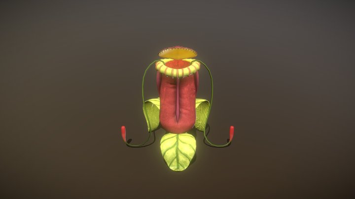Pitcher Plant 3D Model