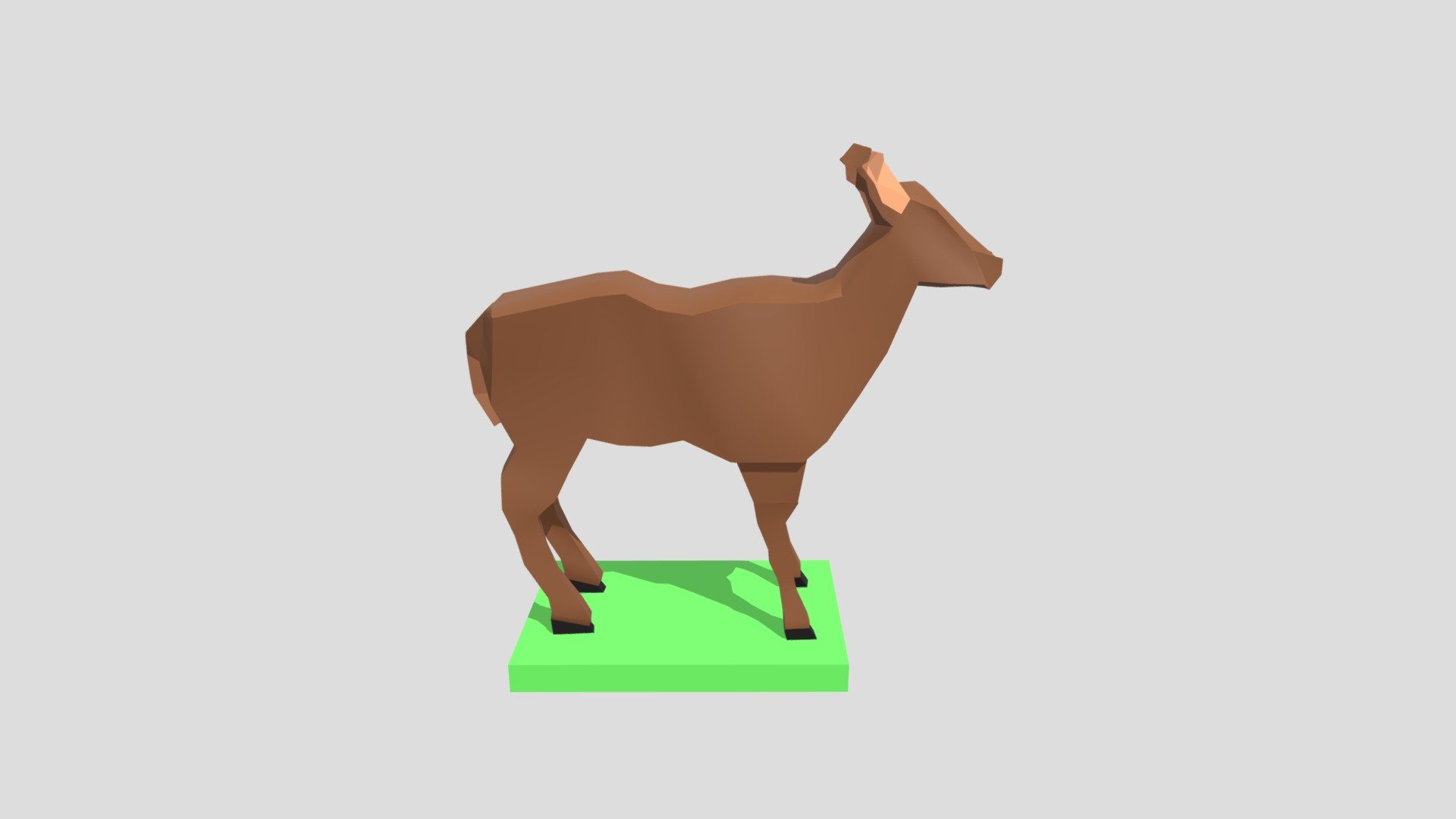 Animal