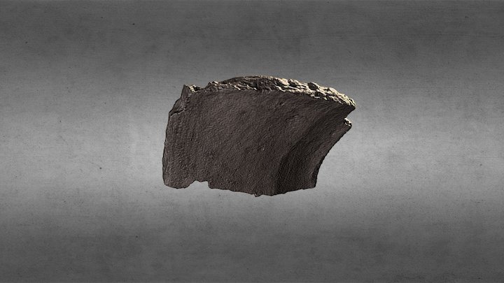 Frammento Vaso 3D Model