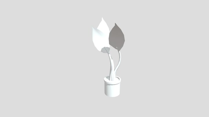 Plant 3D Model