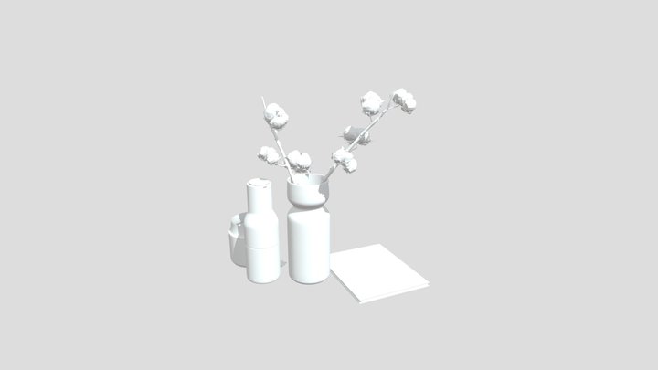 cotton 3D Model