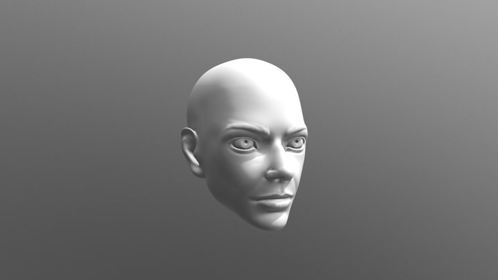 Head Study 3D Model