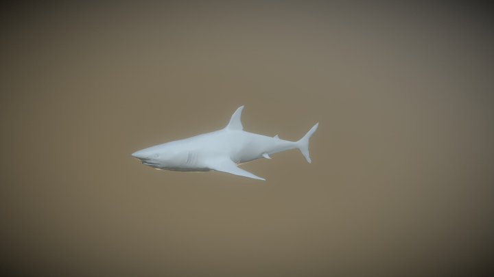 Shark Mesh Complete 3D Model