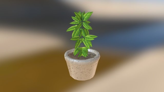 Ornamental Plant 3D Model