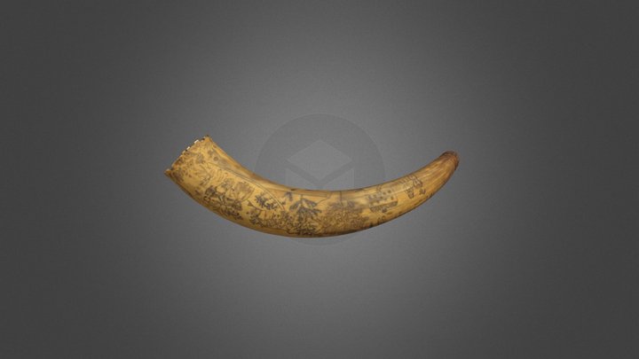 Scrimshaw Decorated Powder Horn 3D Model