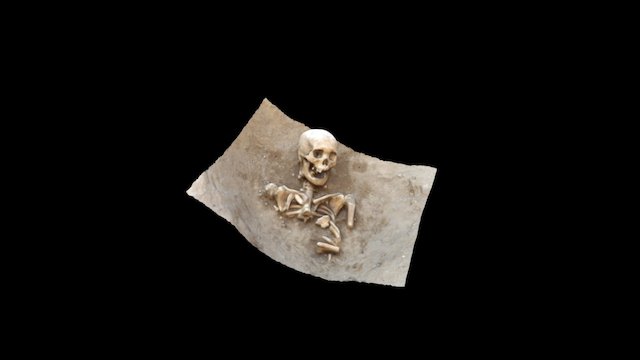 sk70 from Trench M 3D Model