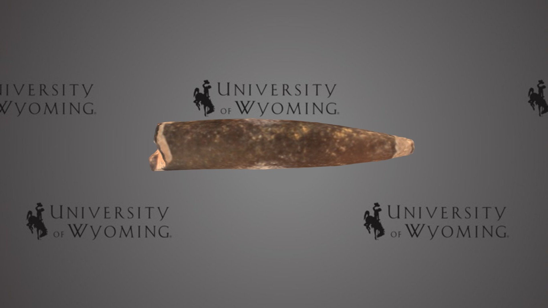 UWG Belemnoid C