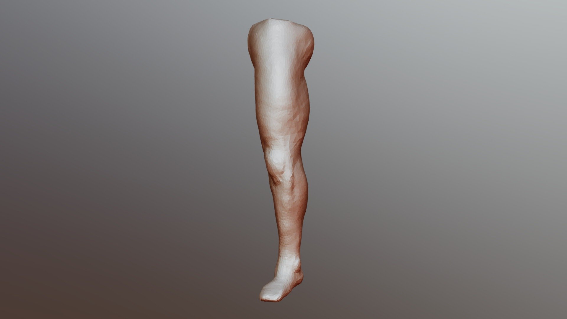 Leg study - 3D model by baukepost [94513d4] - Sketchfab