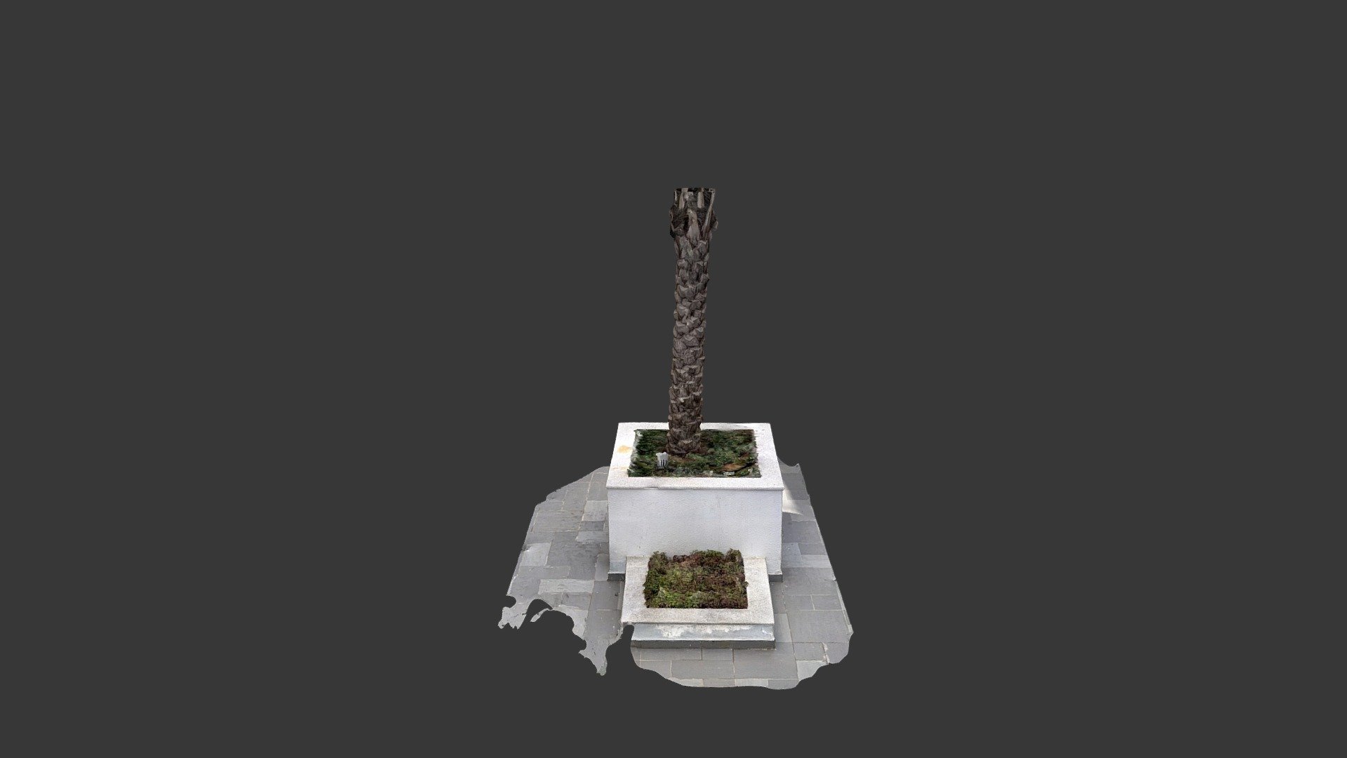 20220321 Palmbig