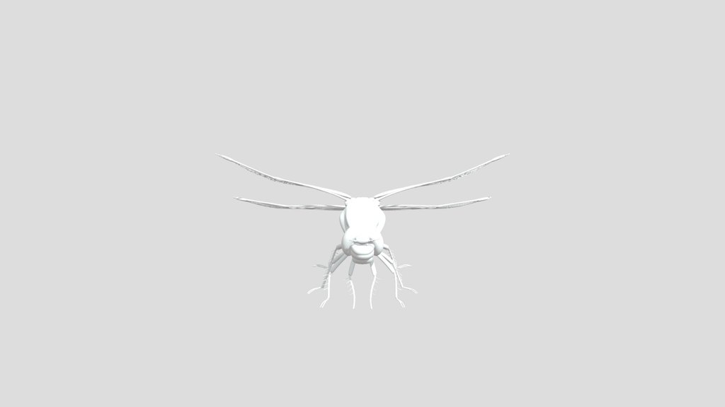 Dragonfly Resting