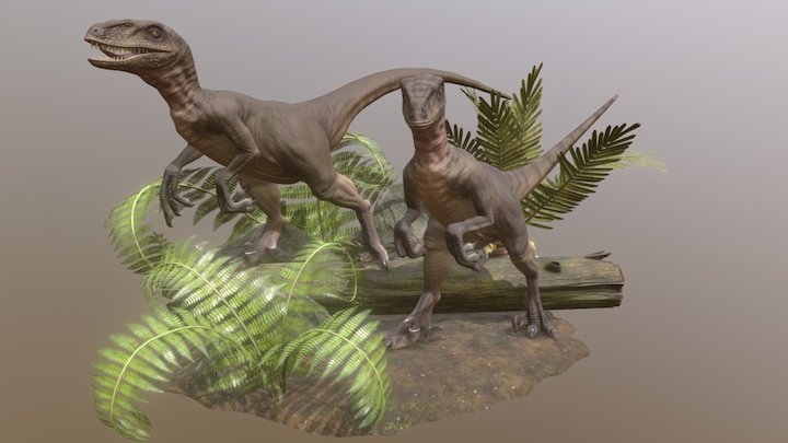 Velociraptors 3D Model