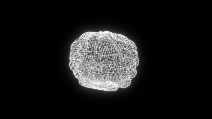 Brain neon effect 3D Model