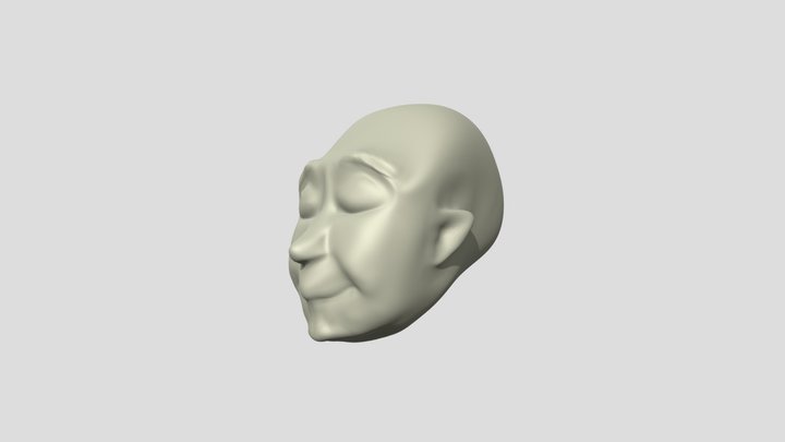 face 3D Model
