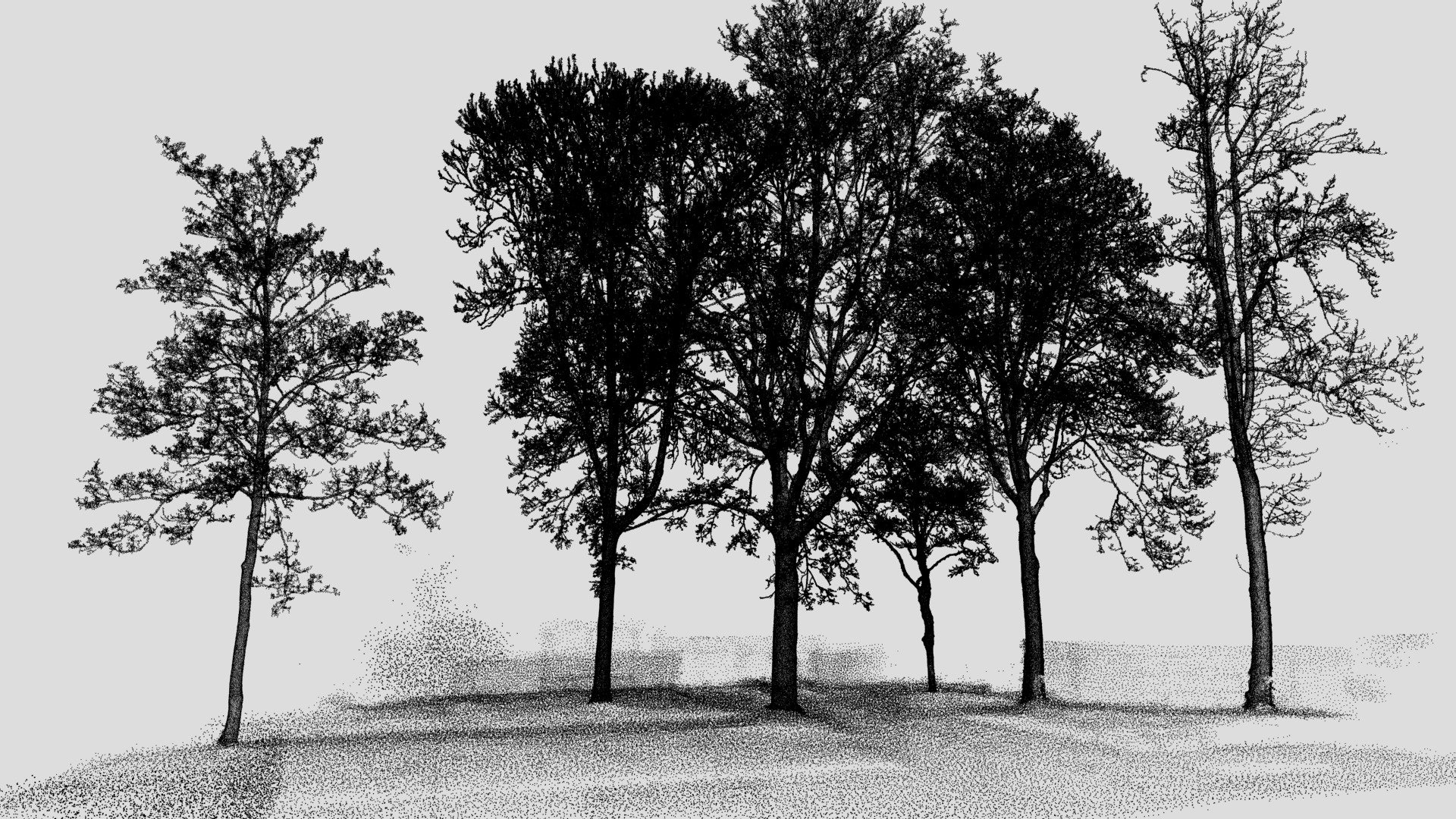 Trees Point Cloud - Buy Royalty Free 3D model by Deeper ...