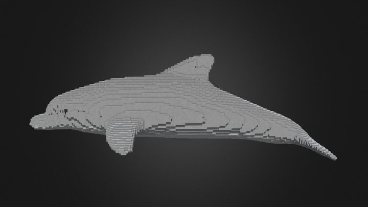 Voxel Dolphin by _MajorisBR_ 3D Model
