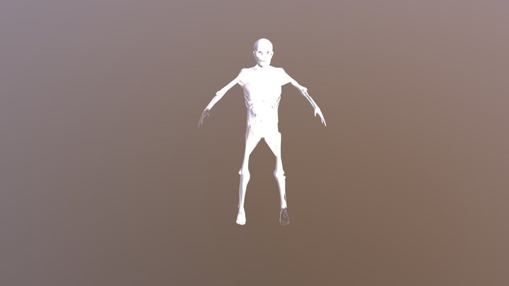Desiccatedman 3D Model