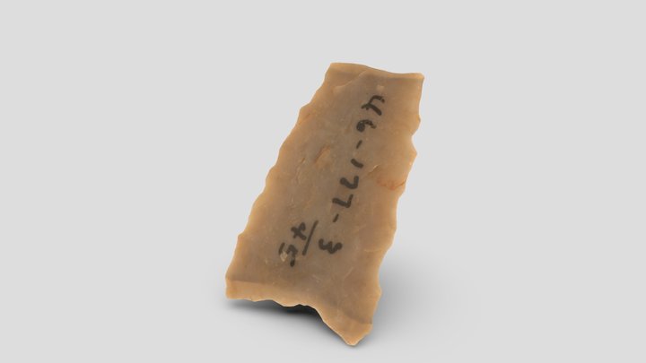 Partial Paleoindian Projectile Point 3D Model